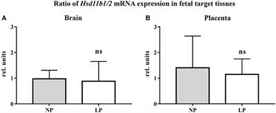 Influence of Low Protein Diet-Induced Fetal Growth Restriction on the Neuroplacental Corticosterone Axis in the Rat